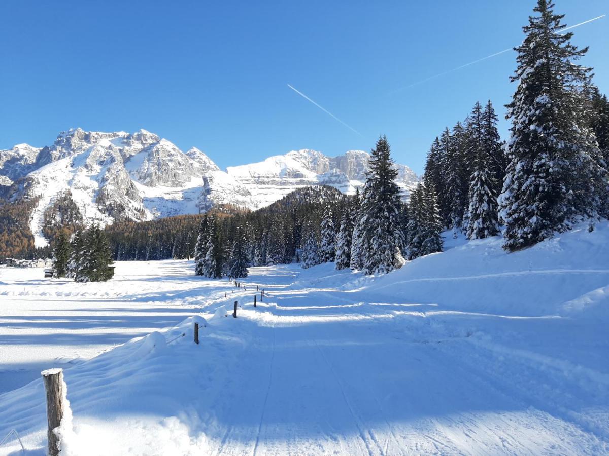 Mdc Apartment Madonna di Campiglio Bagian luar foto